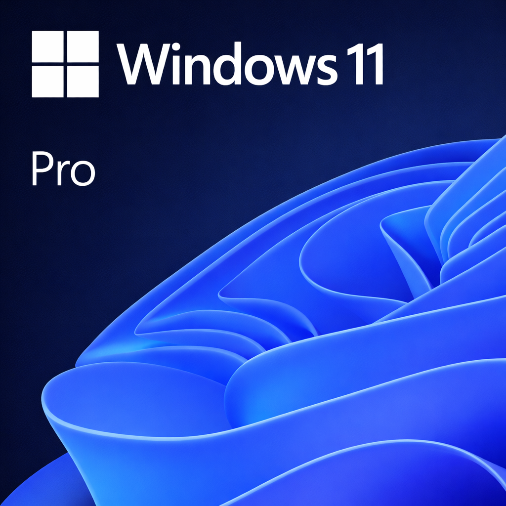 Windows 11 Pro